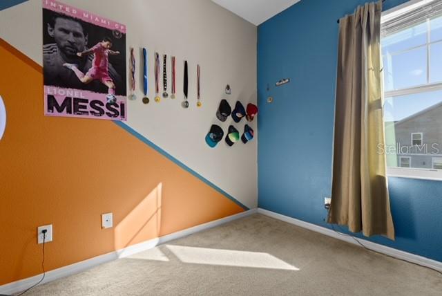 6989 Tussilago Way Property Photo 17