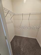 1223 Draintree St Property Photo 5