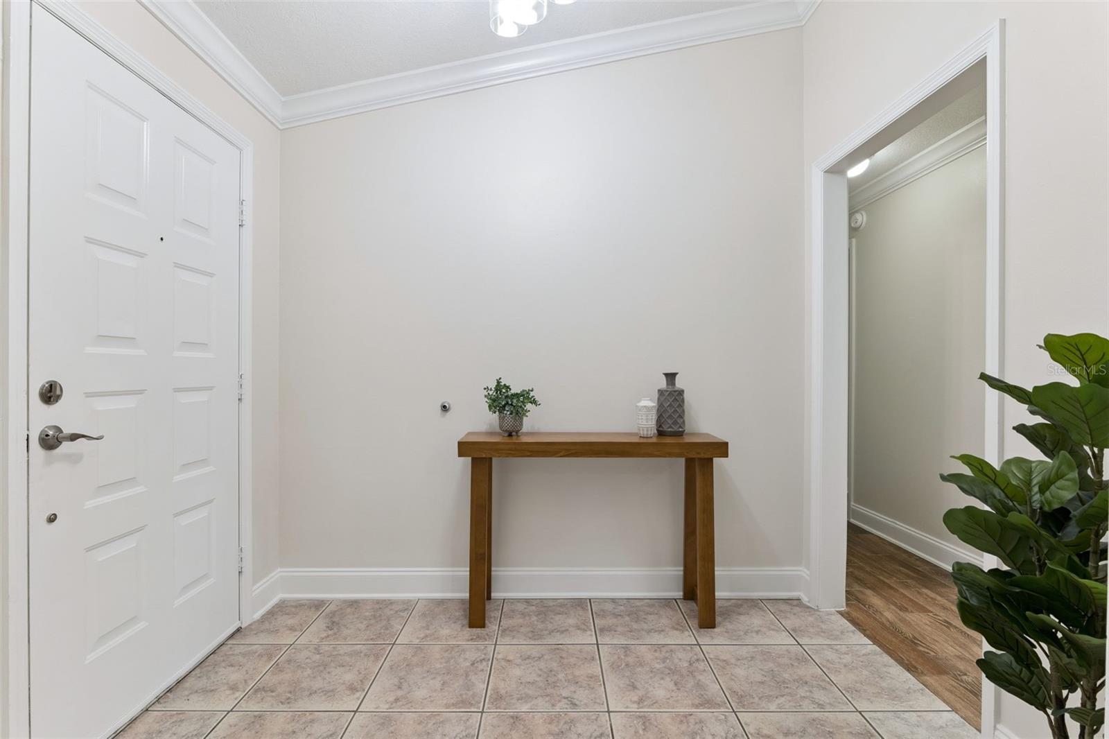 2450 Dresden Trl Property Photo 2