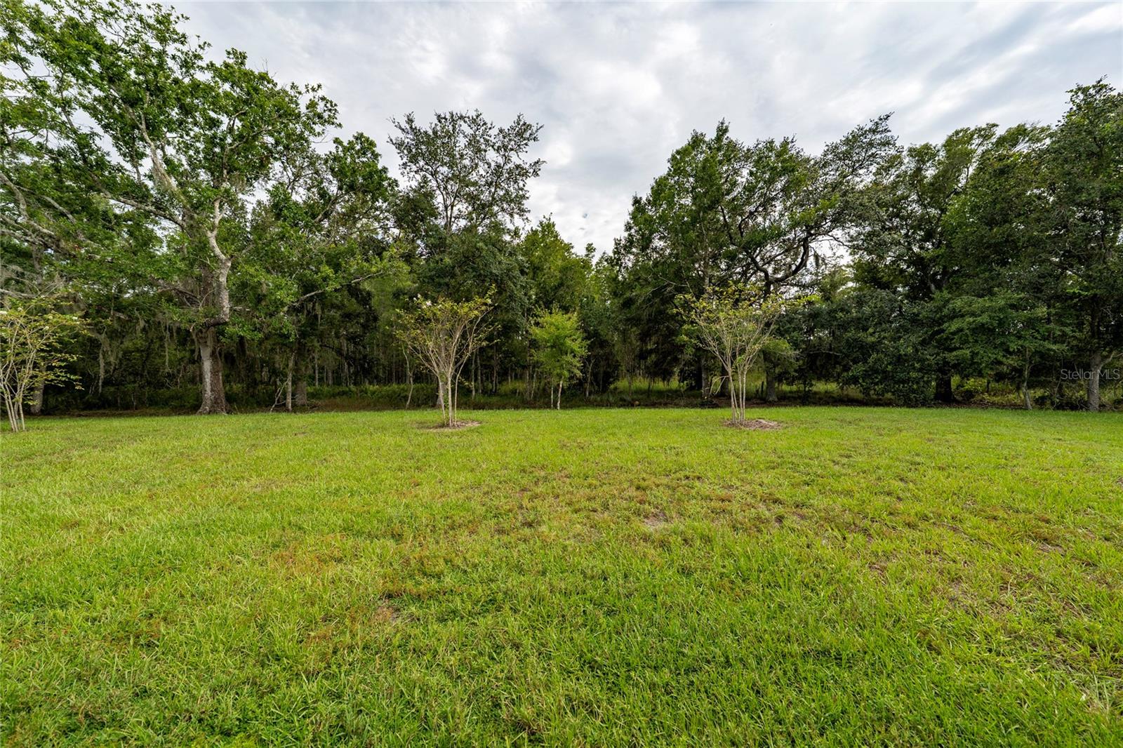 4385 Twisted Twig Bnd Property Photo 37