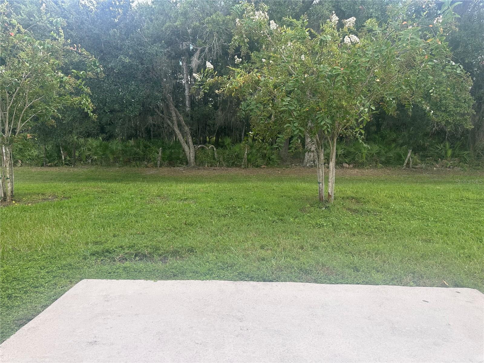 4439 Twisted Twig Bnd Property Photo 3