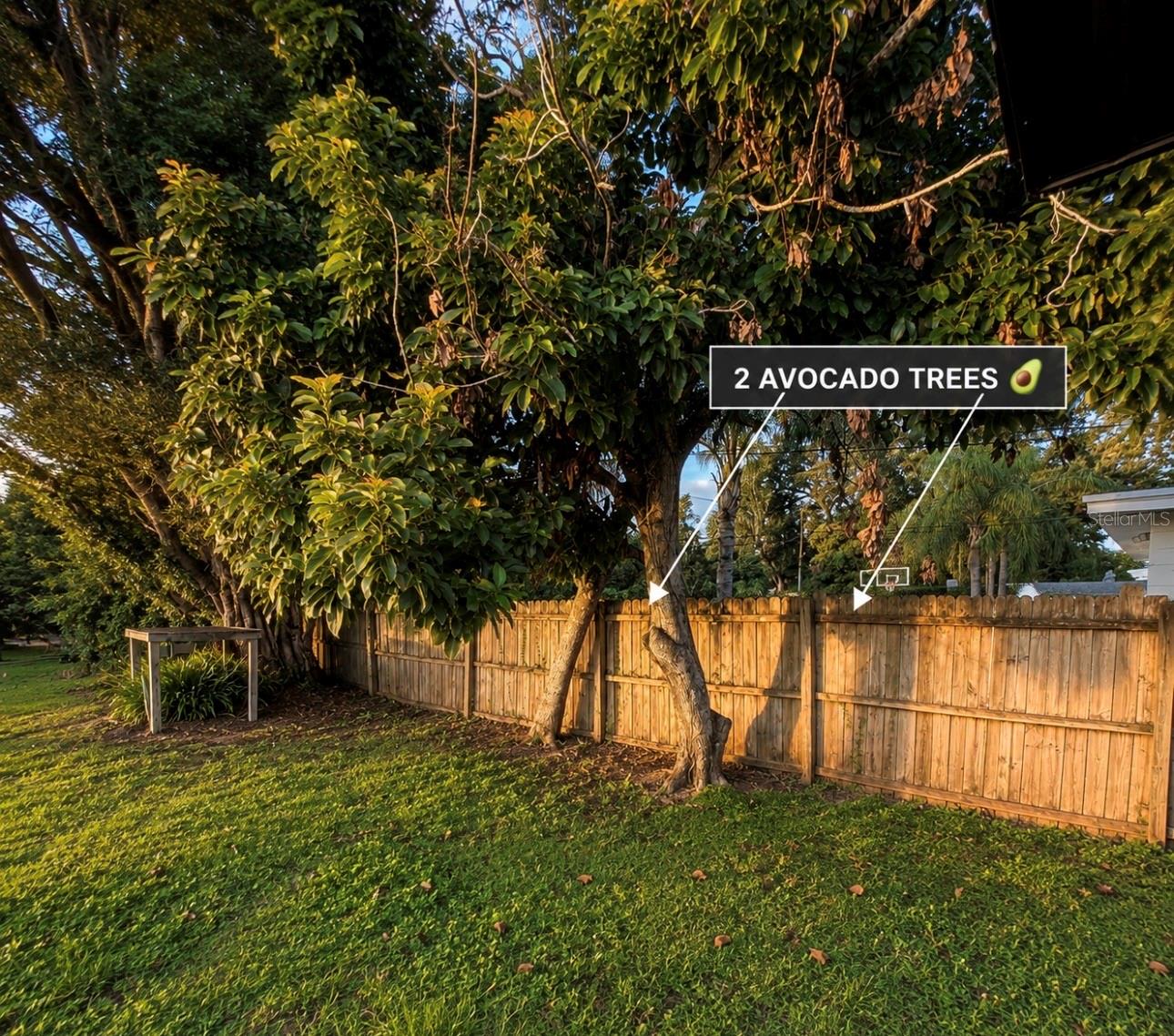3101 Flowertree Rd Property Photo 42