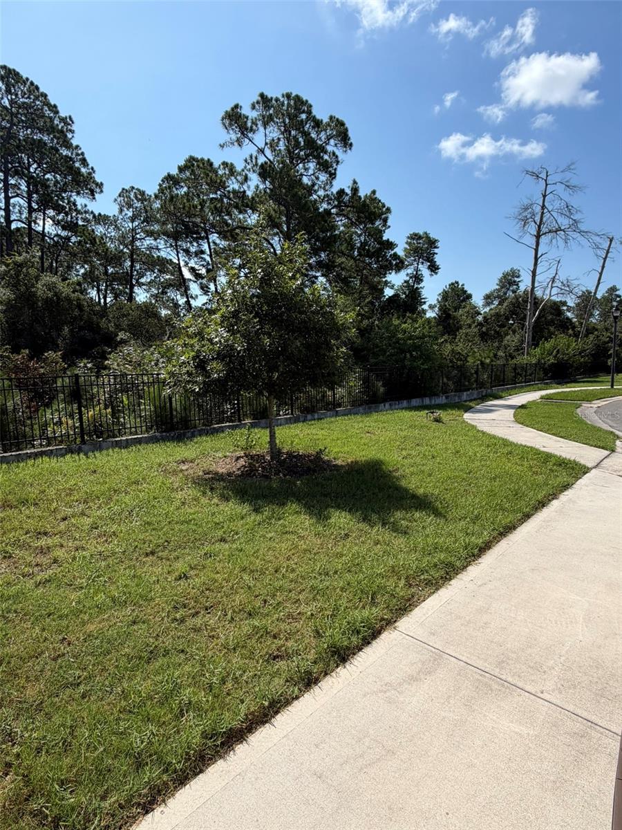801 Baylor Dr Property Photo 63