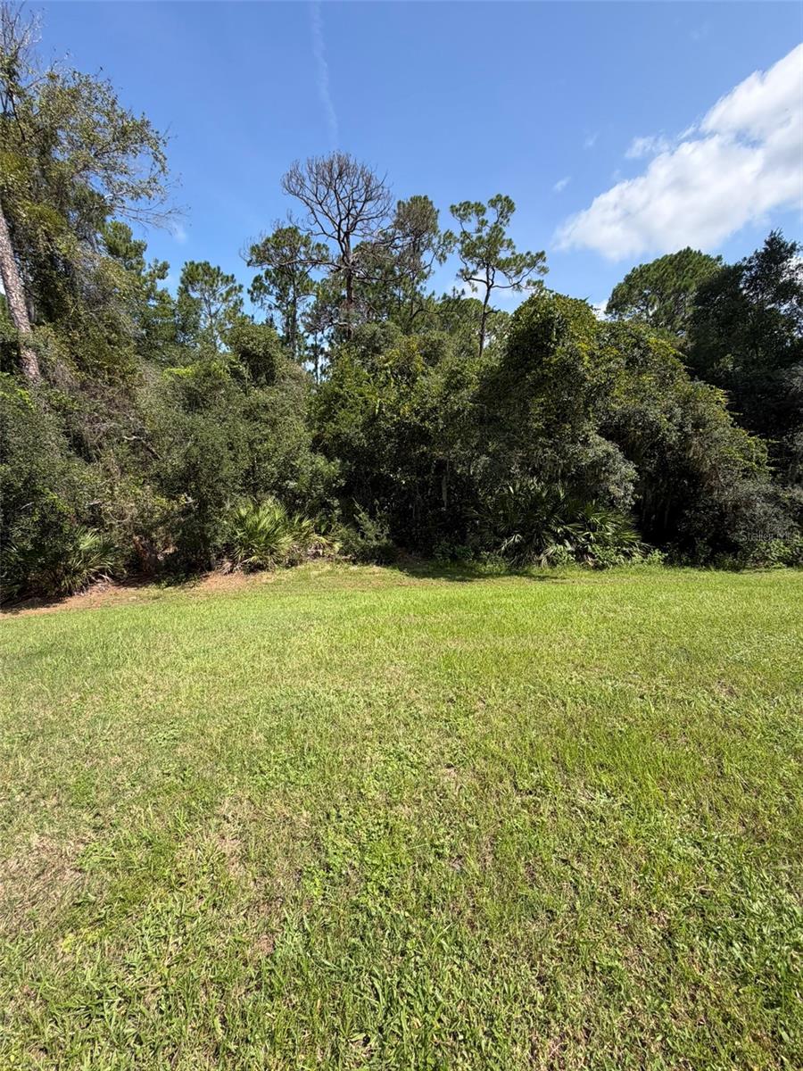 801 Baylor Dr Property Photo 64