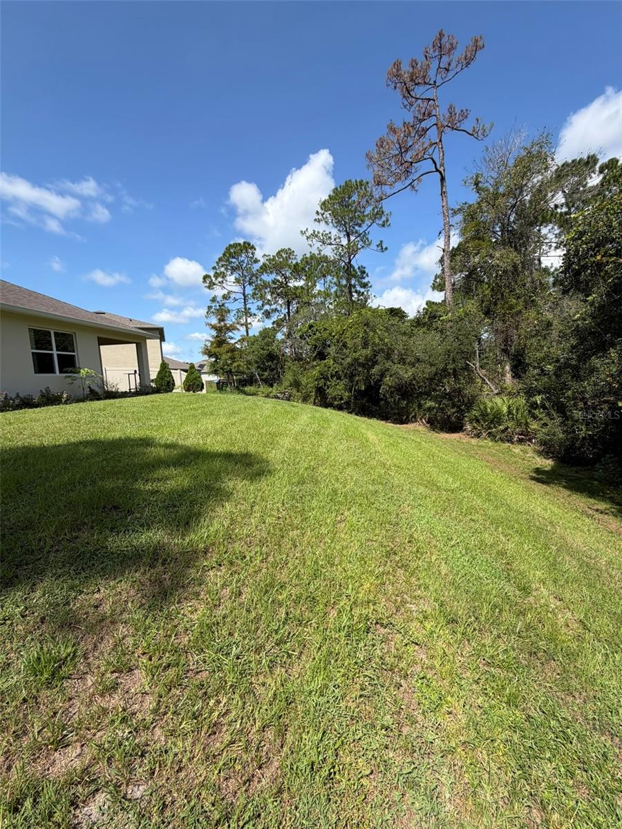 801 Baylor Dr Property Photo 67