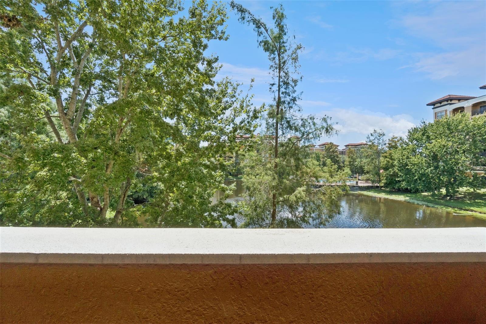 12521 Floridays Resort Dr #205f Property Photo 26