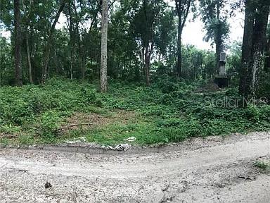 20316 BALDPATE RD