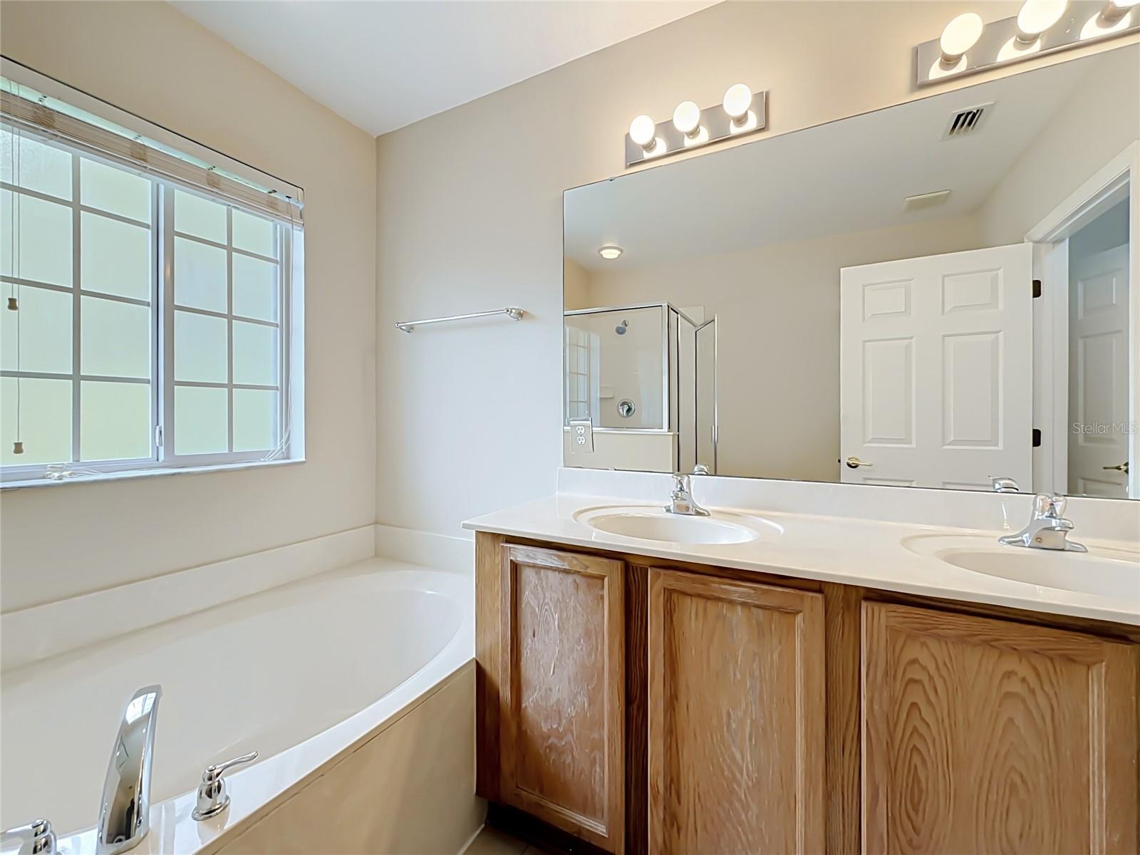 10703 Regent Square Dr #1801 Property Photo 29
