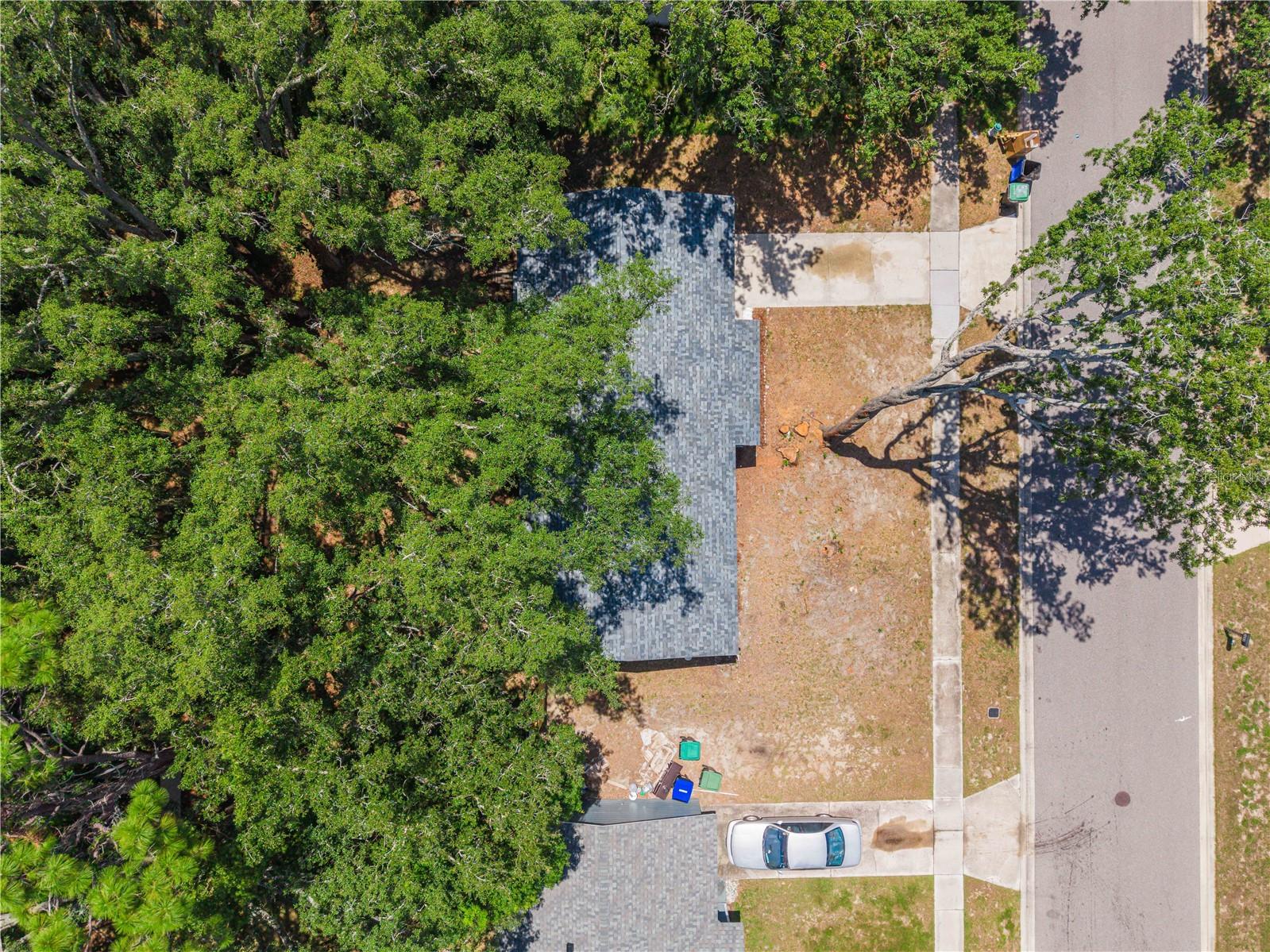3669 Yosemite Dr Property Photo 4