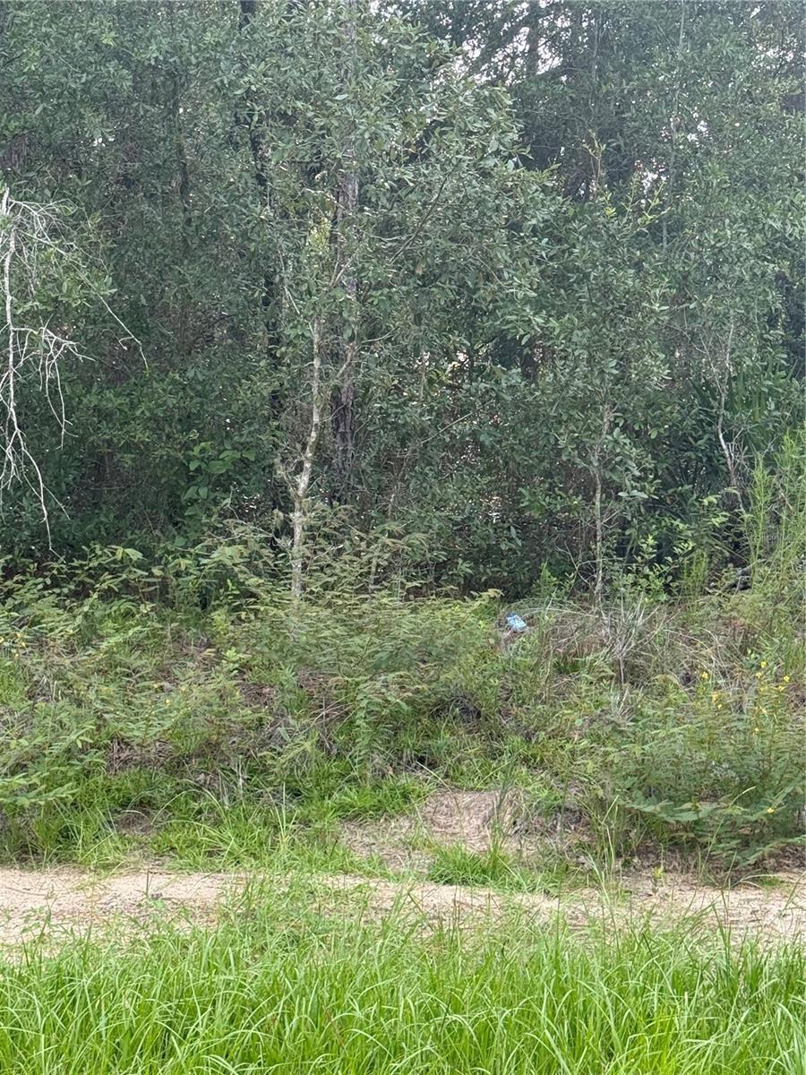 10860 N MATARO AVE Property Photo 1