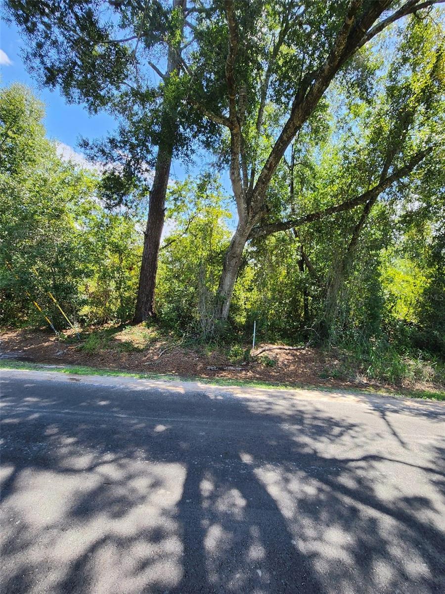 6th Ave Property Photo 3
