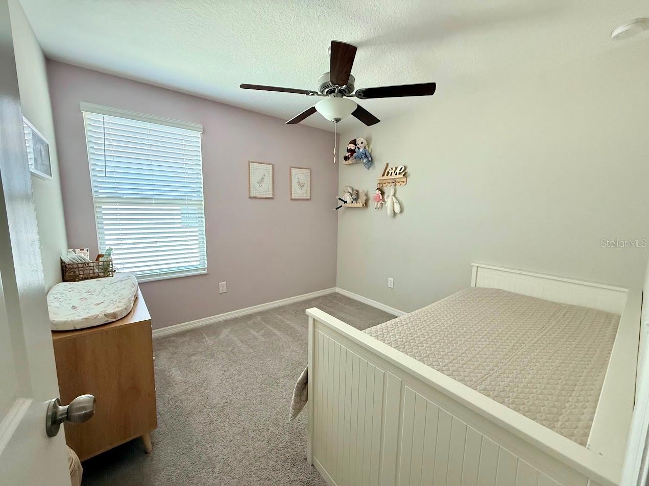 9712 Lemon Drop Loop Property Photo 28