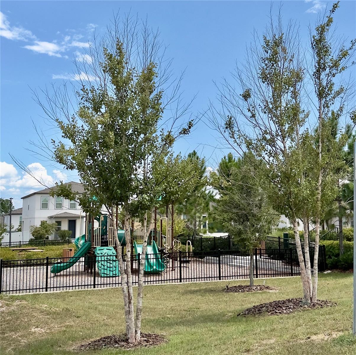 2098 Gold Dust Dr Property Photo 37