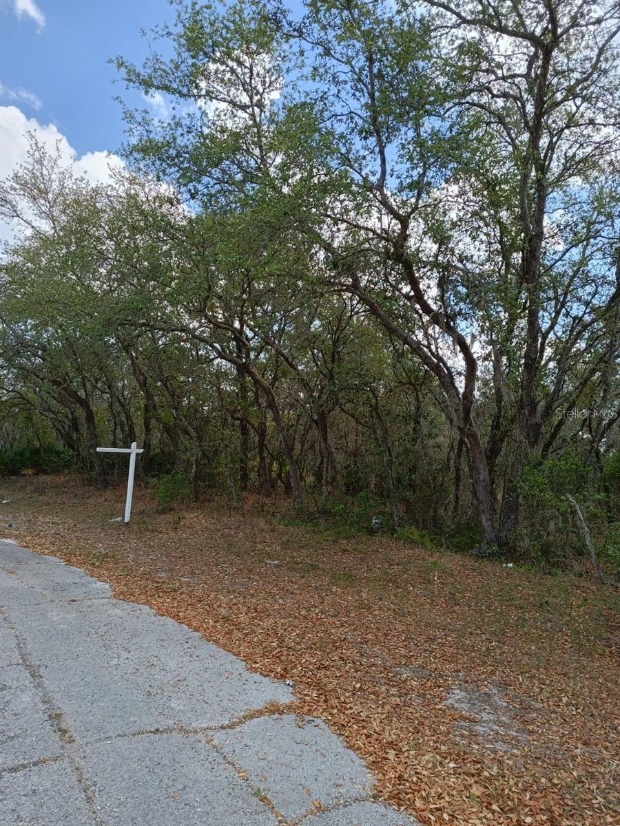 429 NAPLES CT Property Photo 1