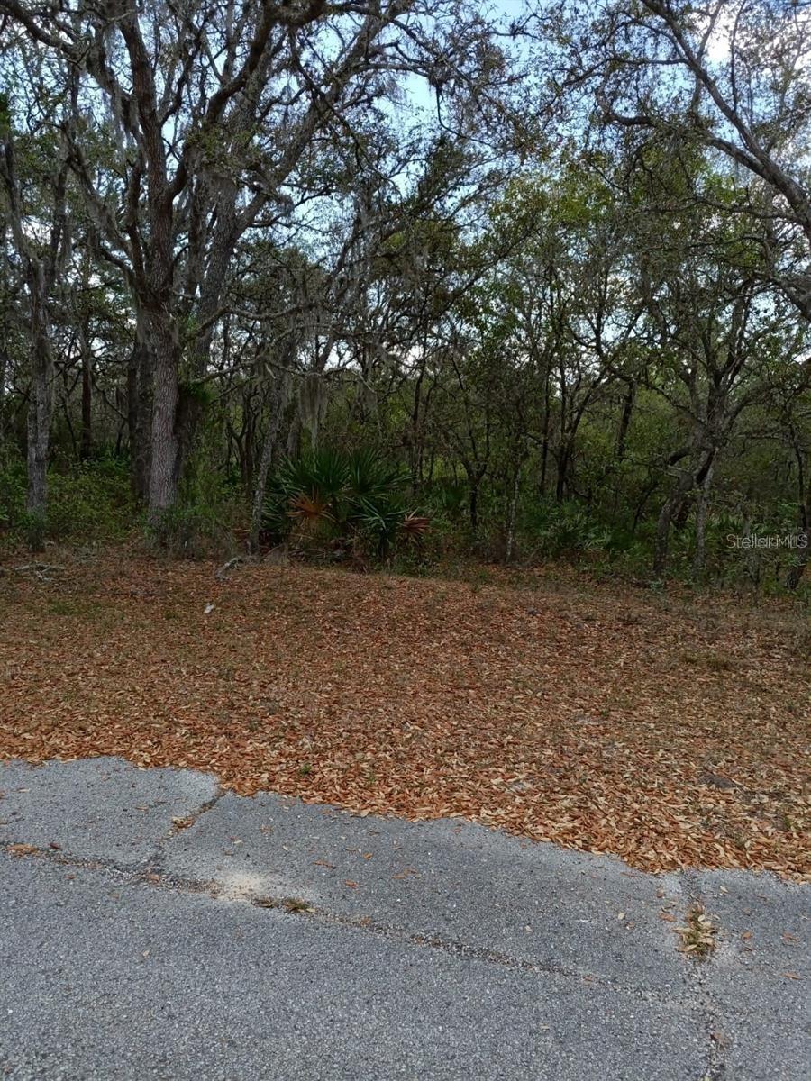 429 Naples Ct Property Photo 2