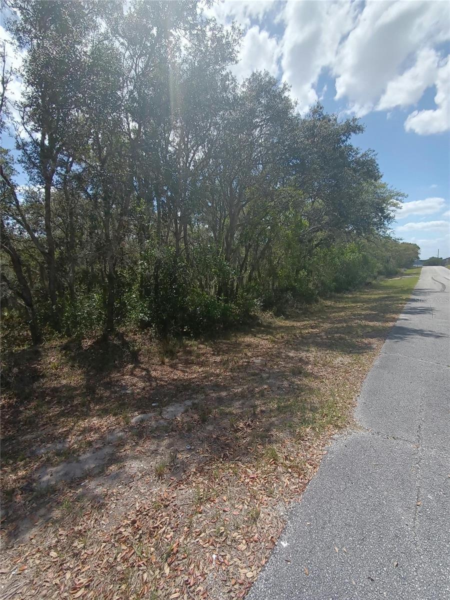 429 Naples Ct Property Photo 4