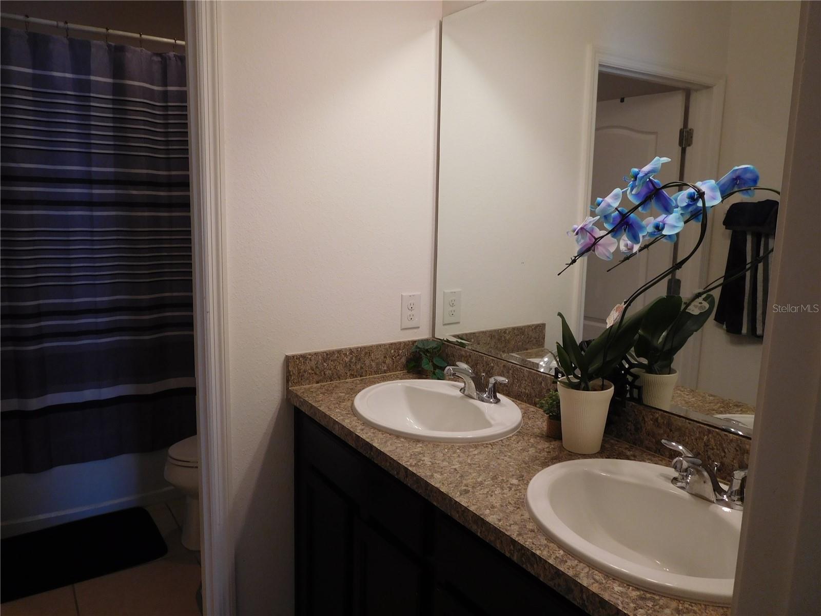 4767 Marcos Cir Property Photo 11