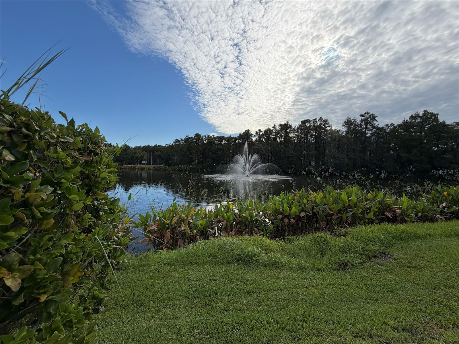 14037 Fairway Island Dr #211 Property Photo 30