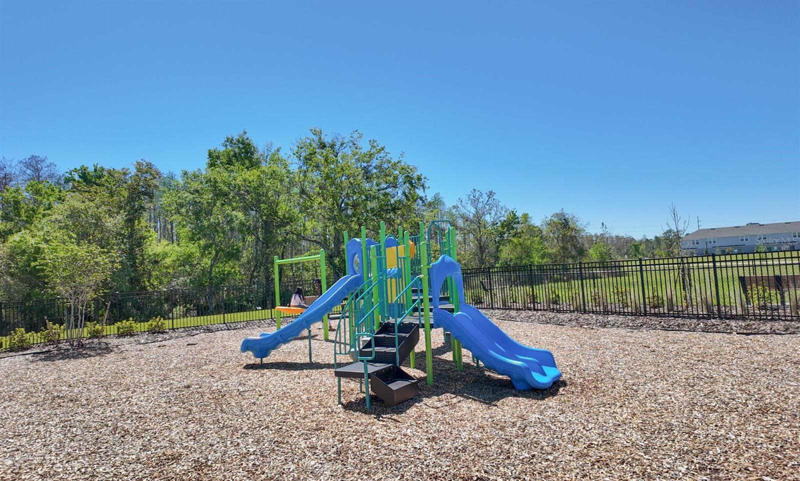 2524 Skyline Loop Property Photo 11