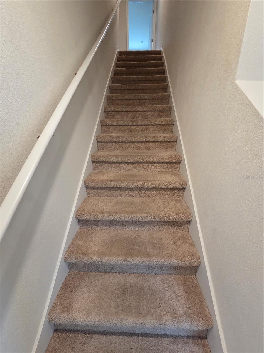561 Talisi Loop Property Photo 7