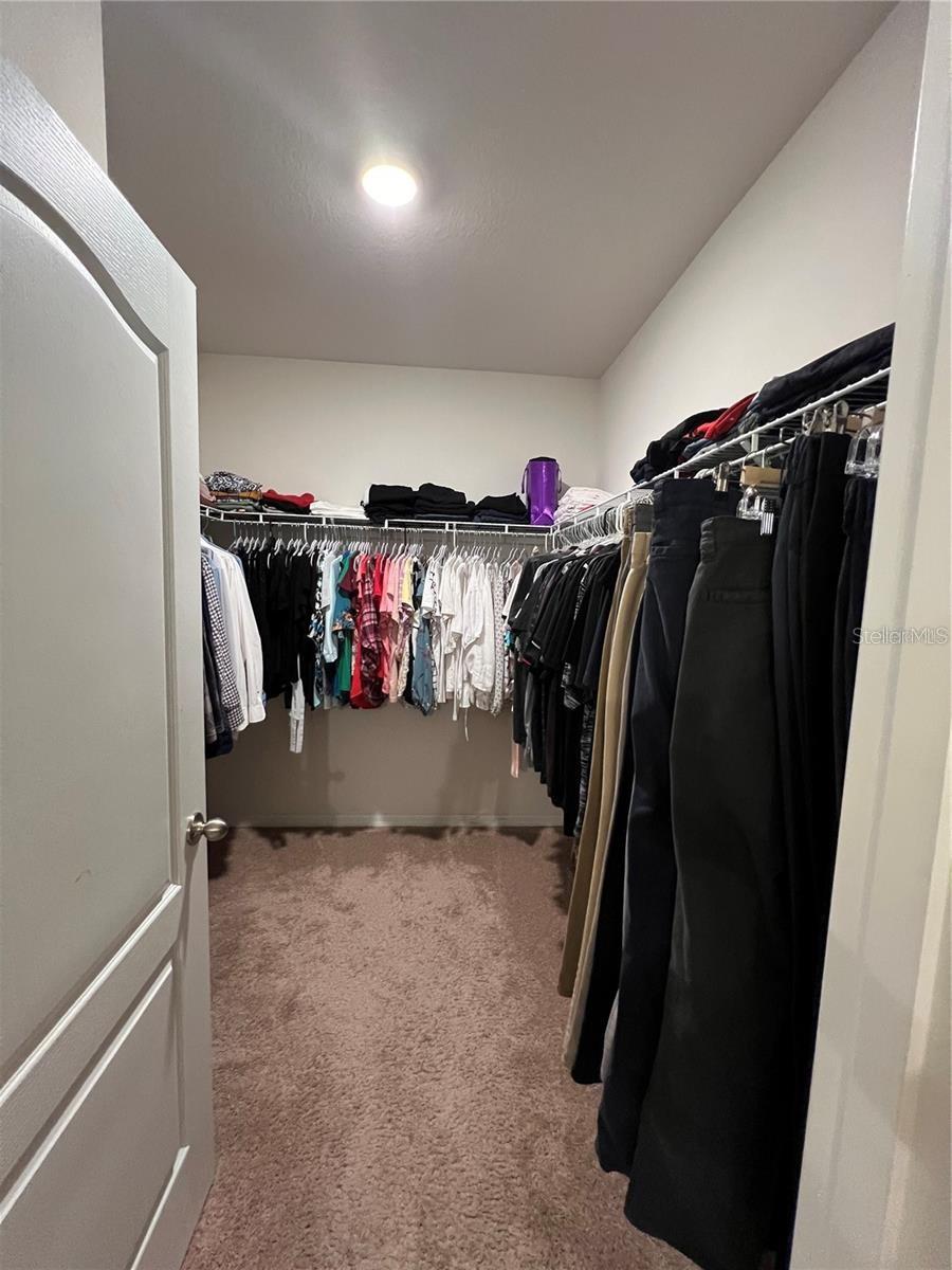 120 Panda Way Property Photo 22