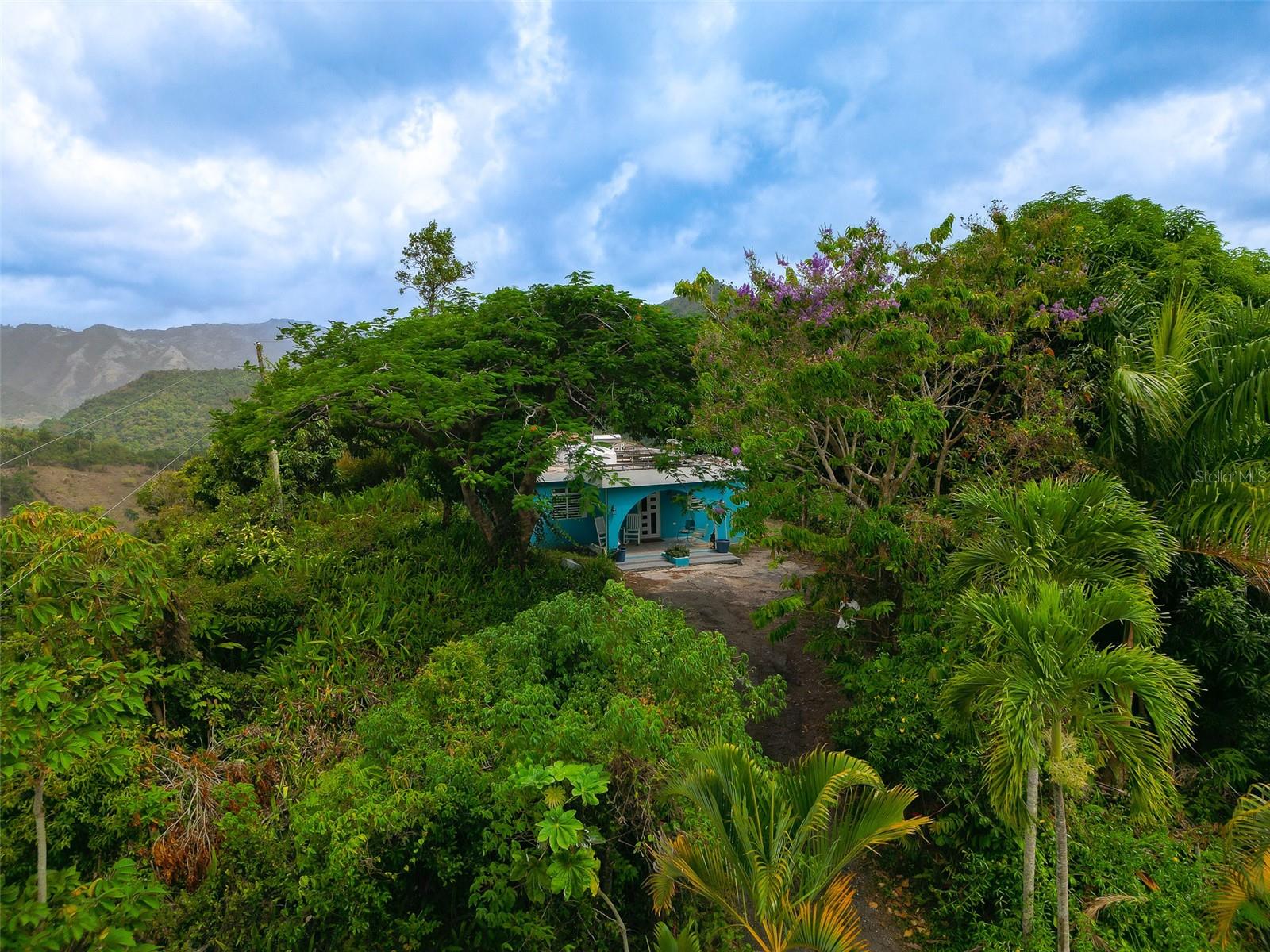 S5156324 Property Photo 9