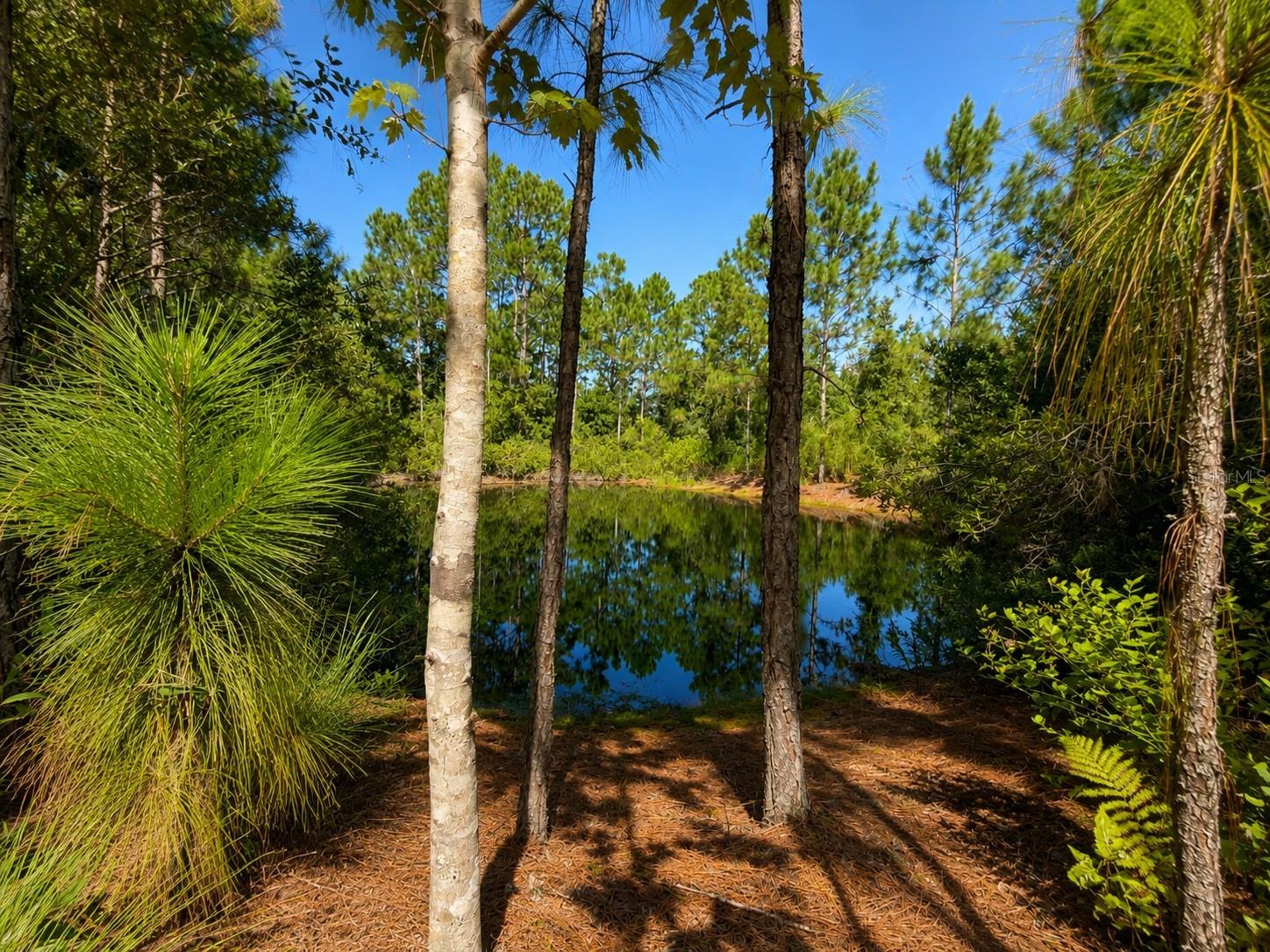 5350 Osceola Dr Property Photo 3
