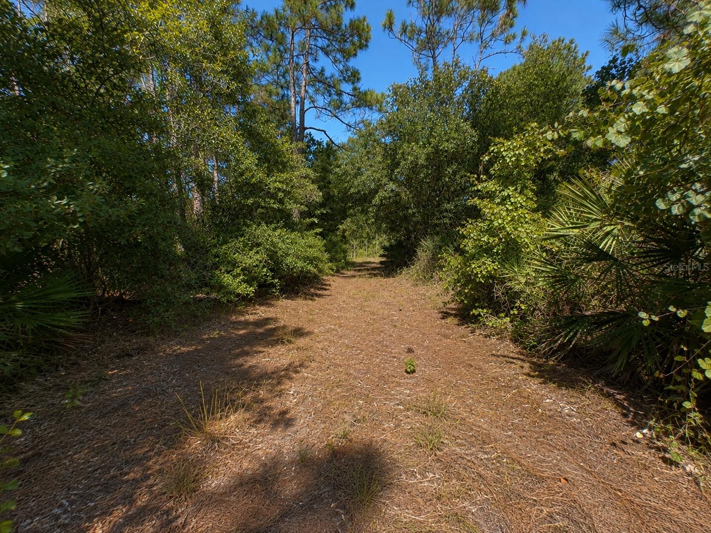5350 Osceola Dr Property Photo 30