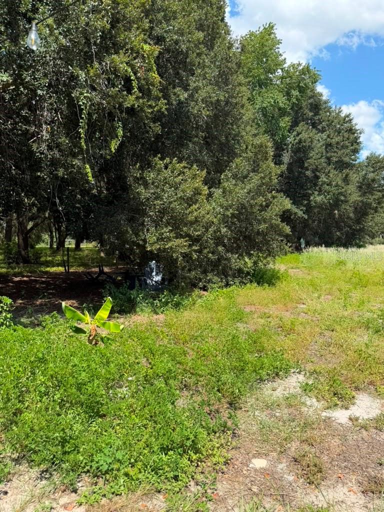 10217 Quinn Rd Property Photo 4