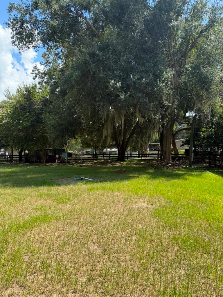 10217 Quinn Rd Property Photo 10