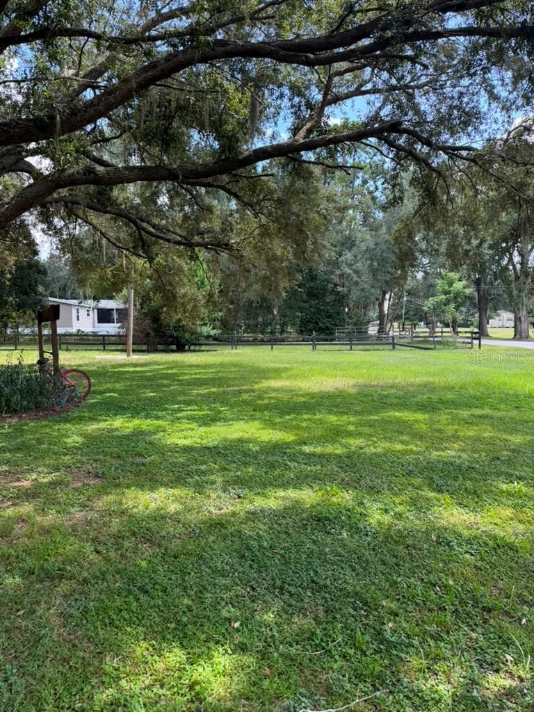 10217 Quinn Rd Property Photo 18