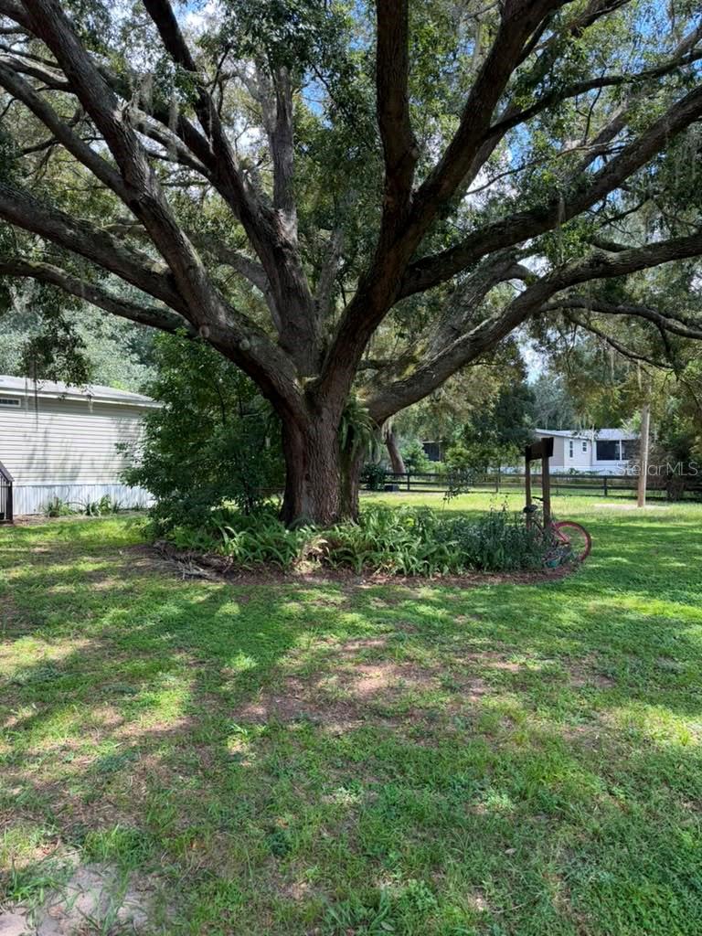 10217 Quinn Rd Property Photo 19