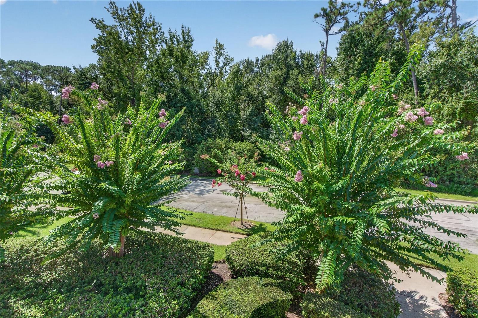 760 Centervale Dr #201 Property Photo 11