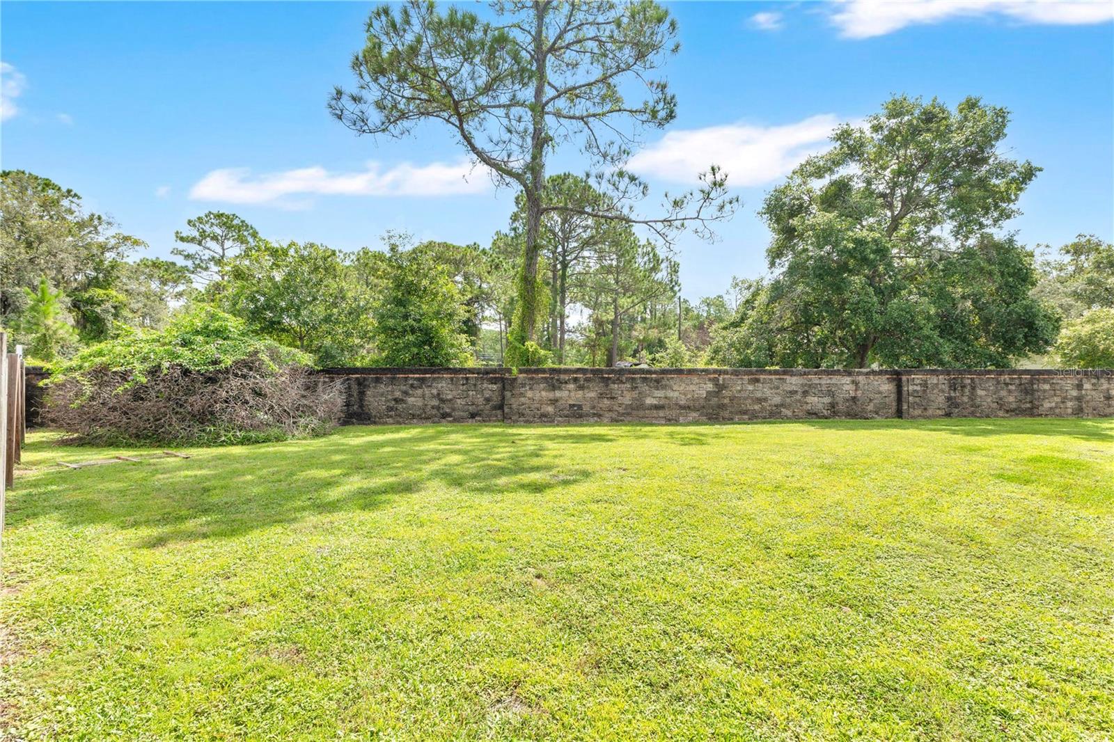 11296 Cypress Leaf Dr Property Photo 30