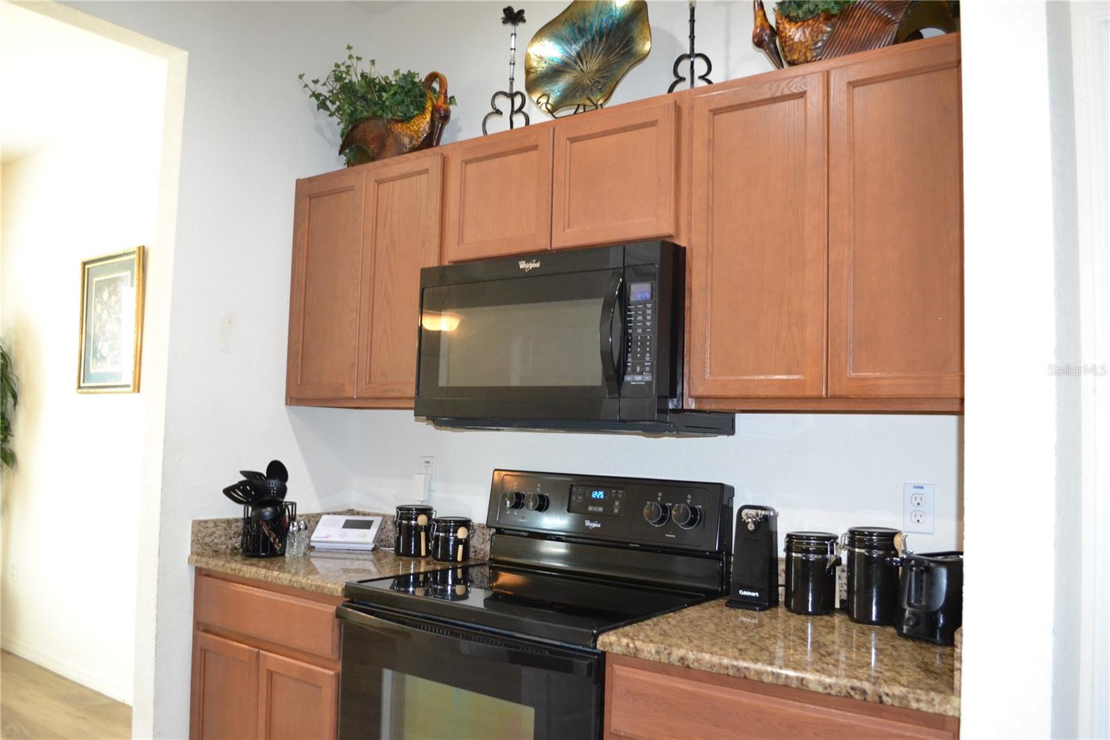2828 Blackwater Creek Dr Property Photo 3