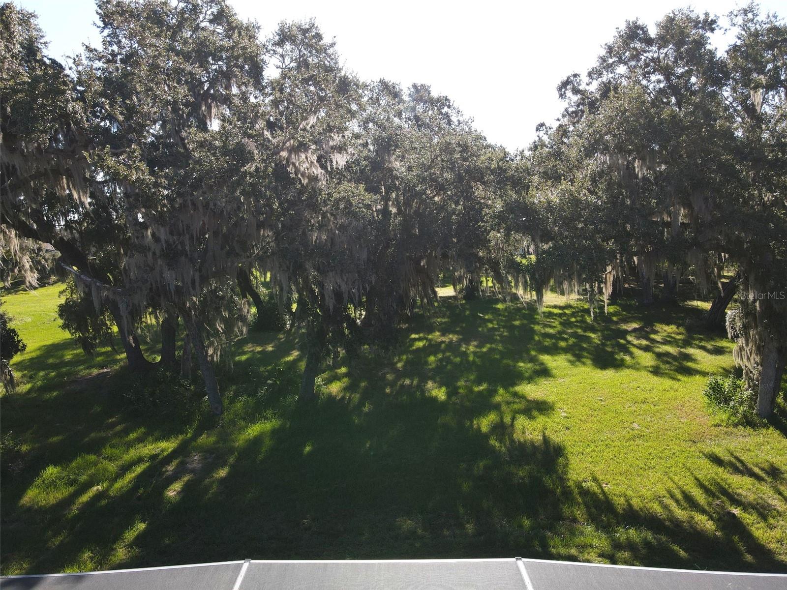 3731 Eagle Isle Cir Property Photo 33