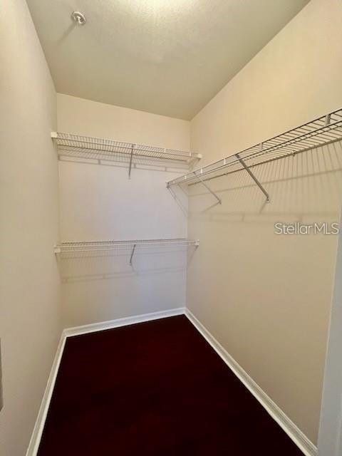 770 Siena Palm Dr #207 Property Photo 11