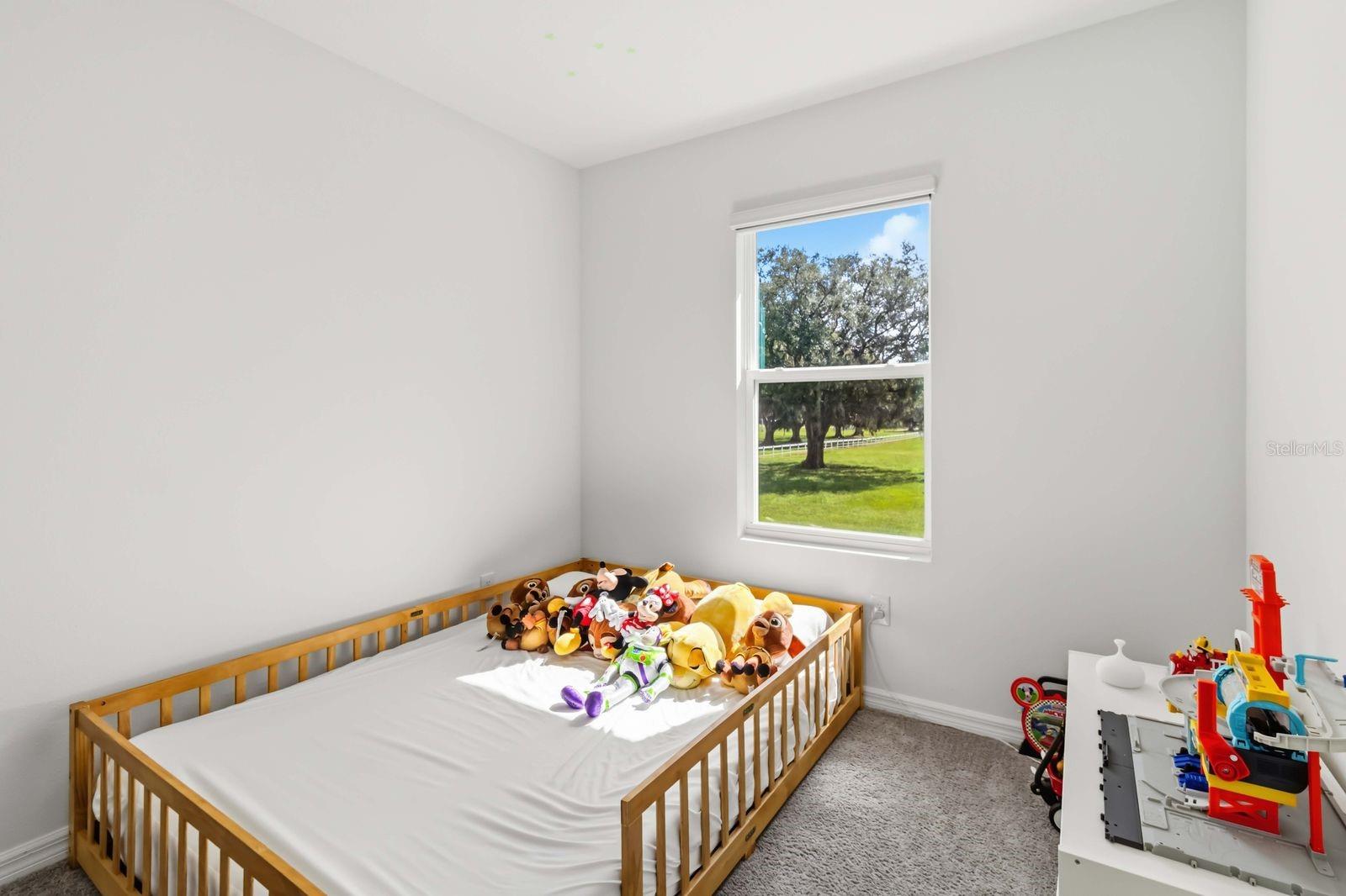 4461 Rachel Falls Dr Property Photo 22