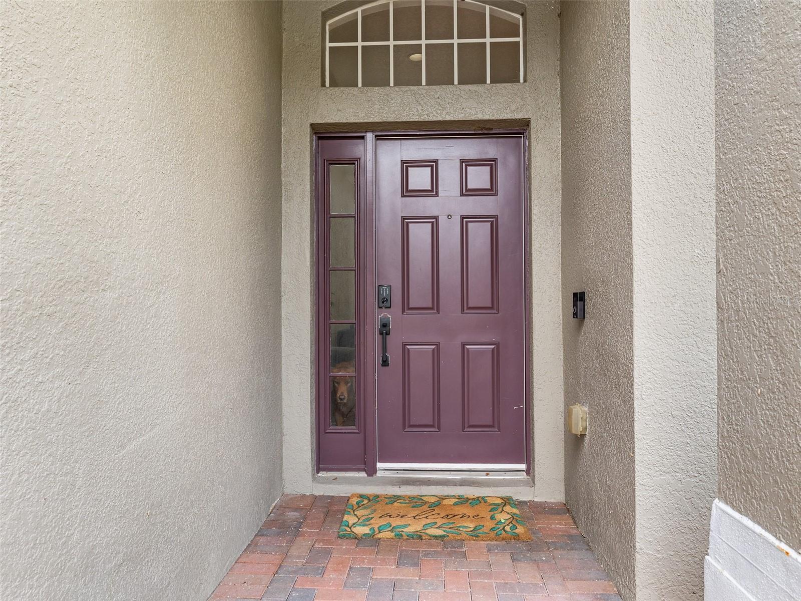 S5156461 Property Photo 3