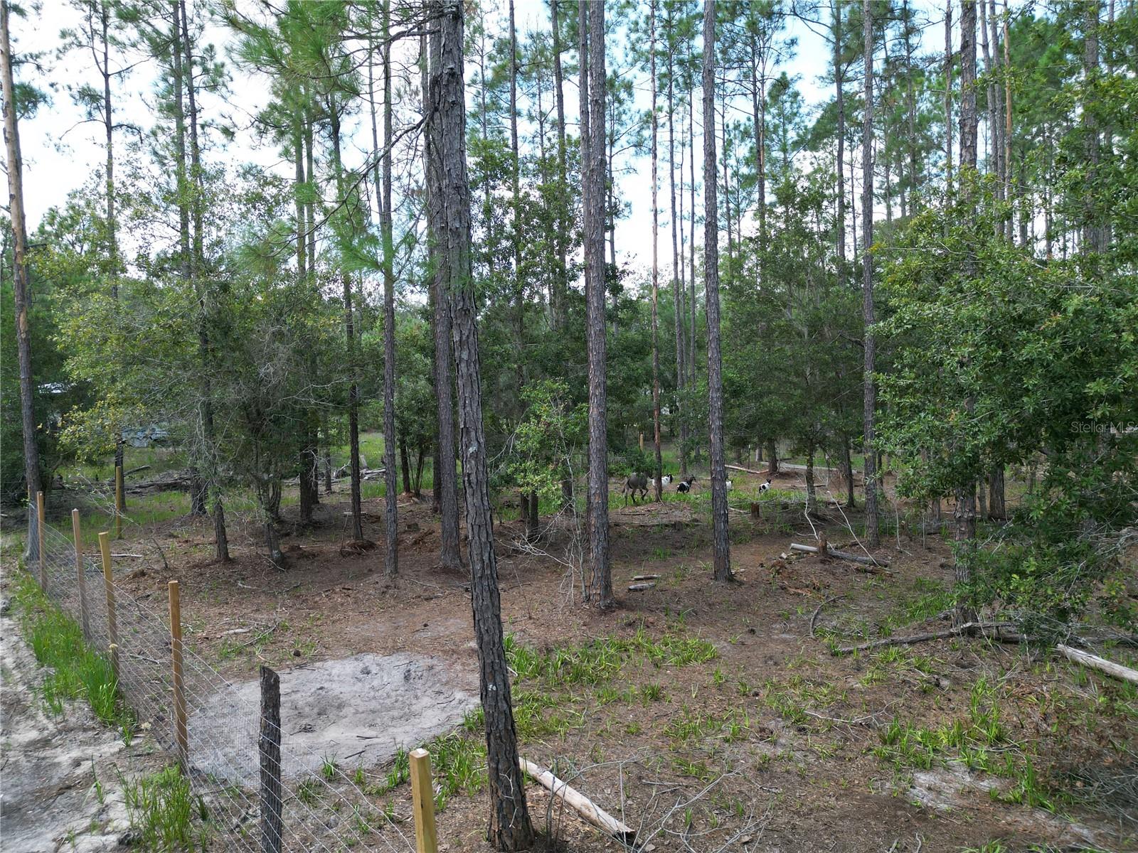 8186 Sw 155 St Property Photo 11
