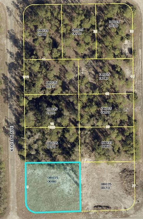 1015 KODIAK AVE Property Photo 1