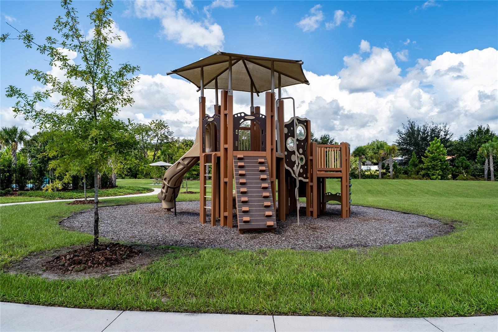3023 Sanctuary Dr Property Photo 51