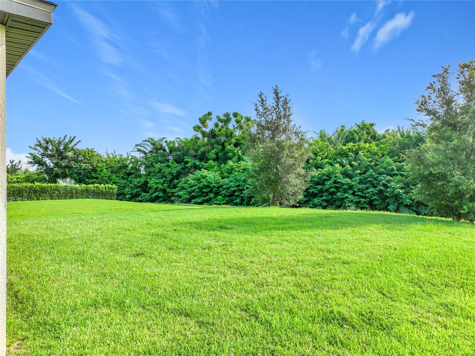 2471 Sky Stone Ct Property Photo 49