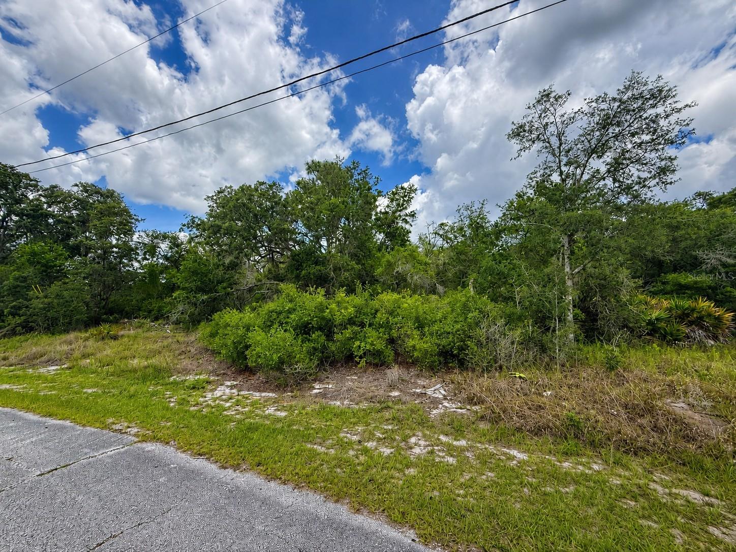1334 Tallahassee Ct Property Photo 2
