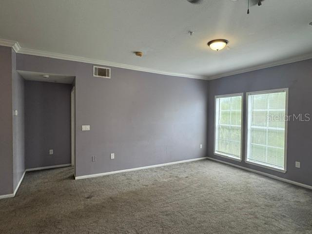 527 Water St Property Photo 4