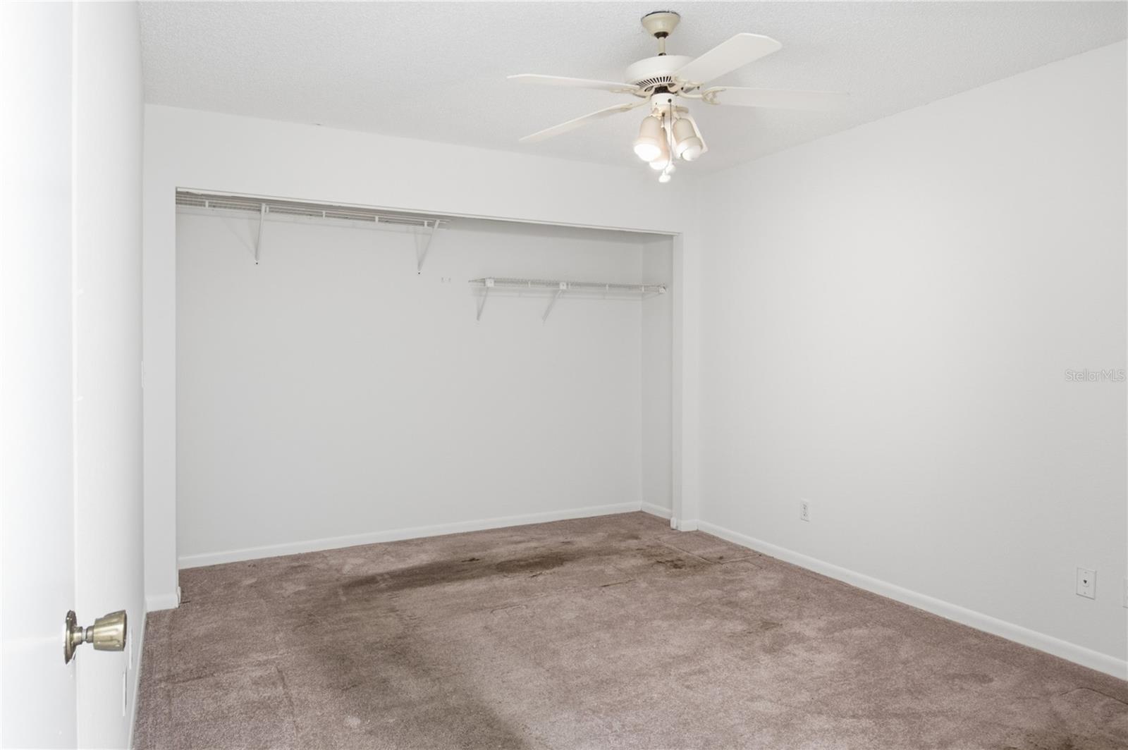 135 Pinewinds Blvd Property Photo 43