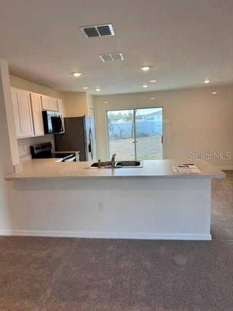 241 E Aster Ct Property Photo 8