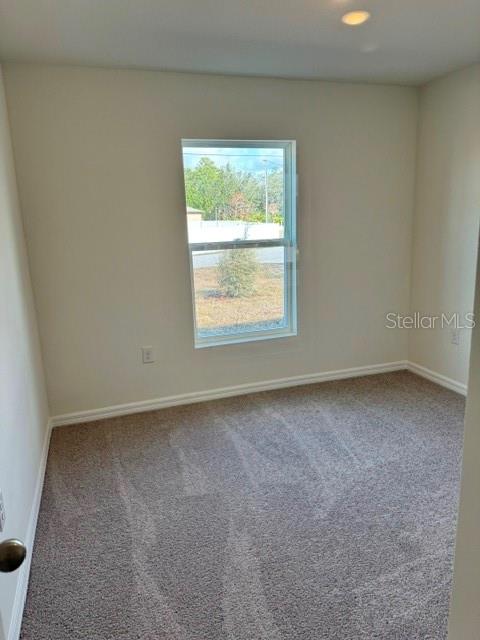 241 E Aster Ct Property Photo 9