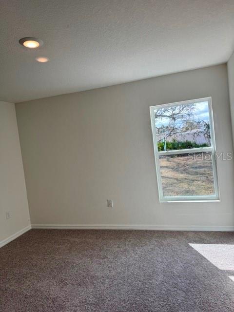241 E Aster Ct Property Photo 11