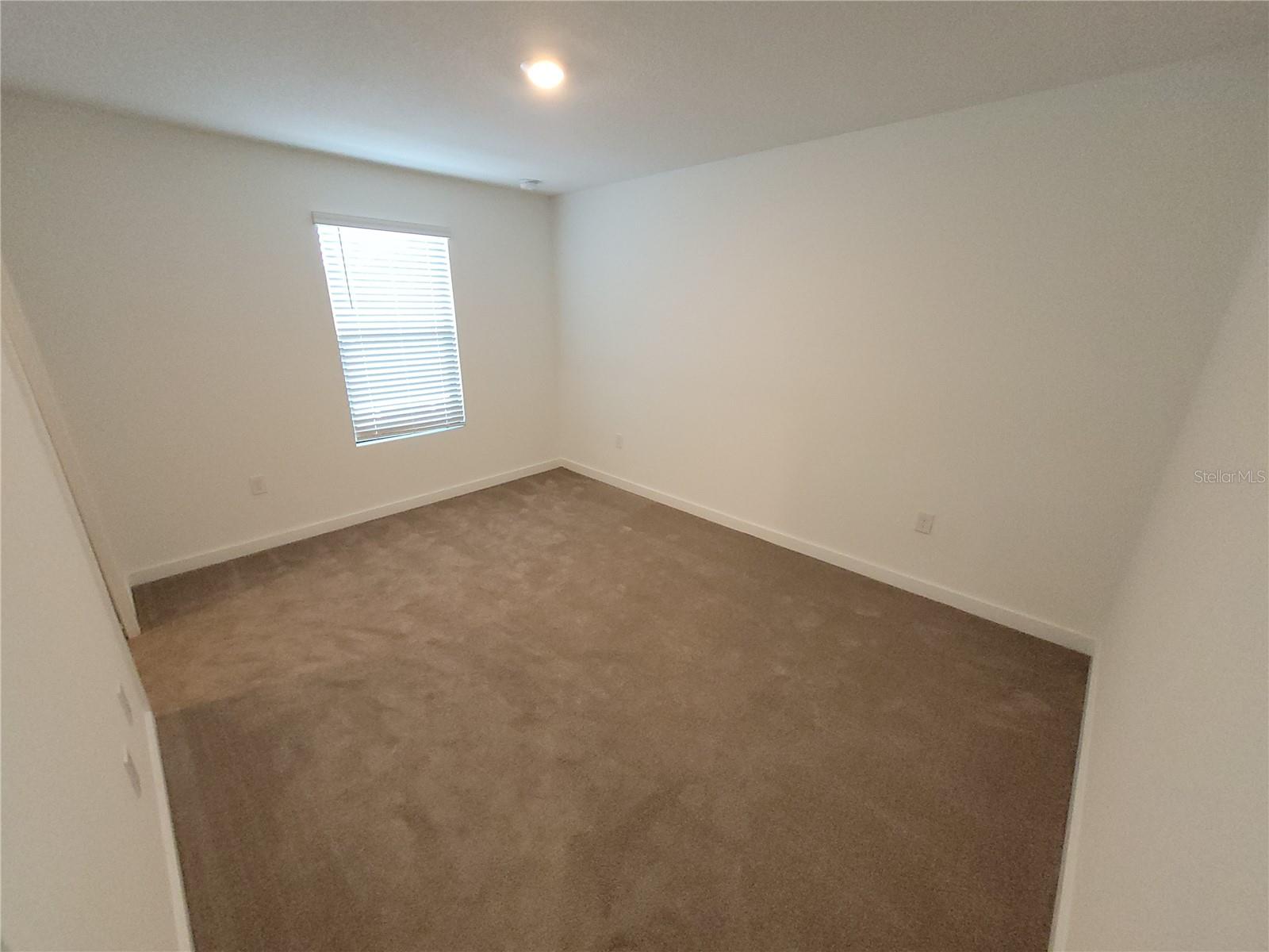3377 Tranquil Trl Property Photo 19